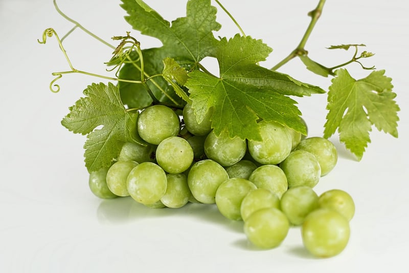 Riesling Grapes