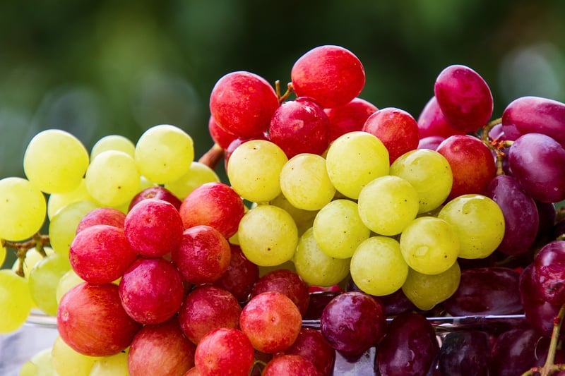 Chardonnay Grapes